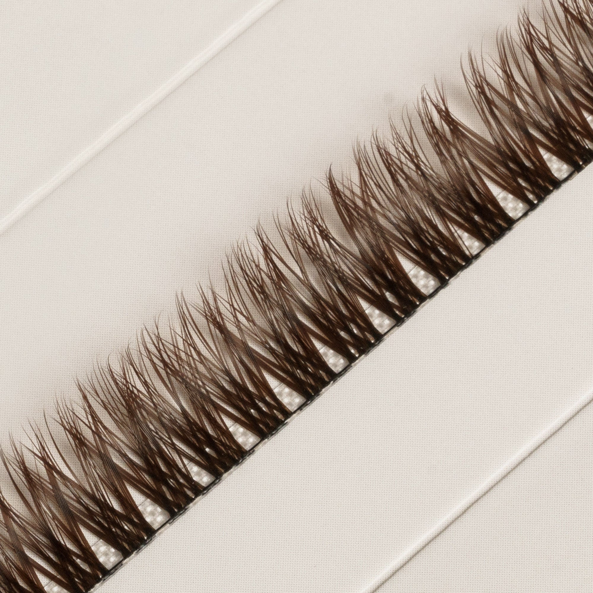 Lash Ribbons Style 08 Brown Single Pack